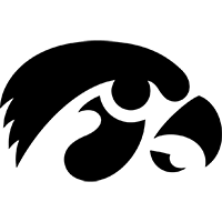 万美元的肥